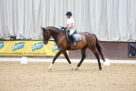 SBM_001017