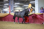 SBM_15810