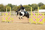 SBM_007823
