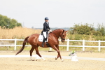SBM_002719