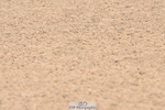 240509A-095731-00726