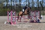 BPP_2950