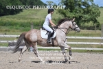BPP_3497