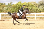 SBM_008597