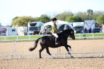 SBM_08778
