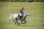 BVHT 140517  NXC -284