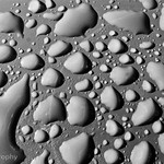 Still Life-008