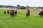 260826-Race 1-Mugheer-2123