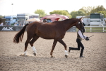 SBM_07099