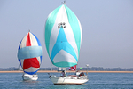 190629 WILD THYME GBR5154 D43A2688