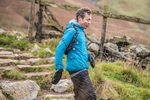 Langdale-2015