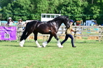 SBM_10147