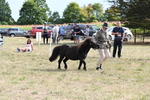 WJ6_7028