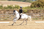 SBM_001799