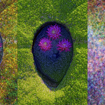 ENTROPY TRIPTYCH XXll-XXlV
