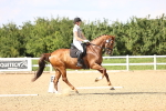 SBM_002806