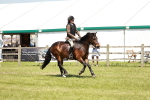 SBM_16385