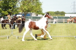 SBM_04130