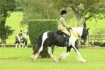 SBM_75006