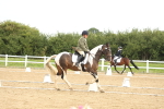 SBM_008664