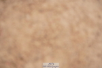 240506A-083604-07747