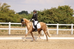 SBM_008780