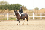 SBM_000570