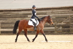 SBM_001617