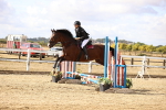 SBM_006491