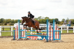 SBM_000954