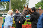 290826-Race 5-Supreme Clarets-7468