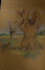 the Duel /or noble tree trunks in Richmond PARK