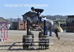 BPP_7431