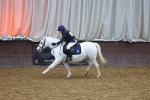 SBM_000619