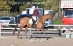 BPP_8197