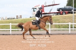 BPP_4206