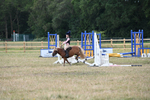 WJ6_8430