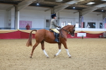SBM_06090