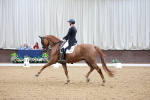 SBM_014498