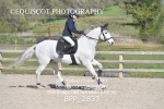 BPP_2833