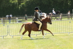 SBM_06739