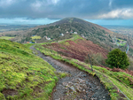 Malvern iPhone -8
