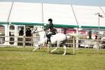 SBM_19264