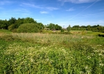 Manor Fields Park #08