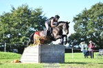 Rider 250 to 259 portfolio