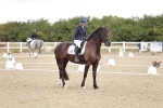SBM_003549