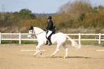 SBM_001385
