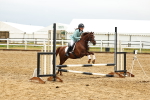 SBM_000646