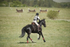 BVHT 140517  IXC -2