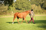 SBM_57598